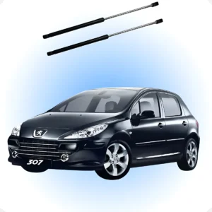 Par de amortiguadores de maletero para Peugeot 307 Hatch 2002 a 2012