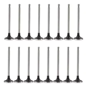 Kit De Válvulas De Admisión Y Escape Chery Tiggo 2.0 16v 2010 A 12